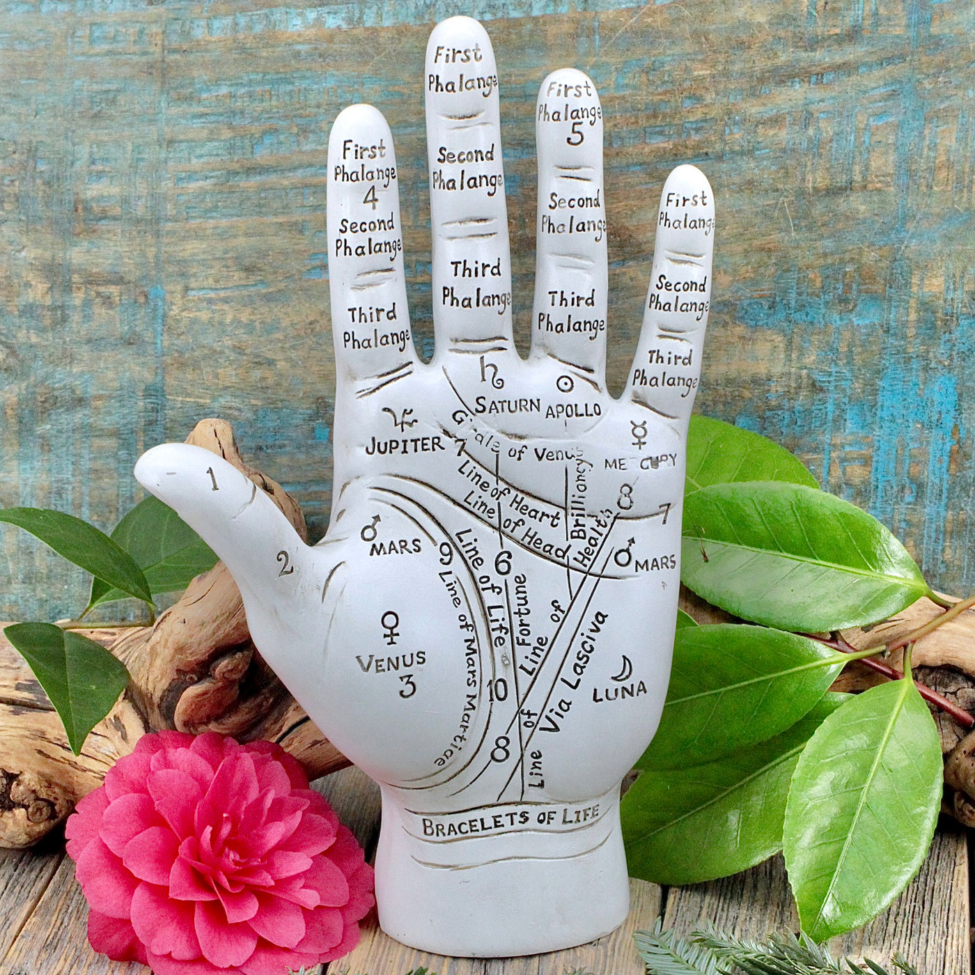 Palmistry Hand Statue