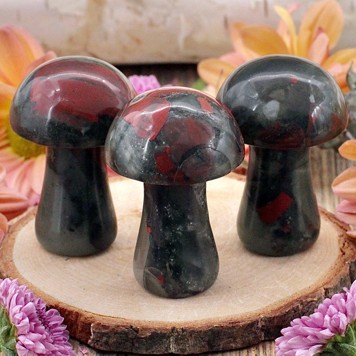 Bloodstone Mushroom