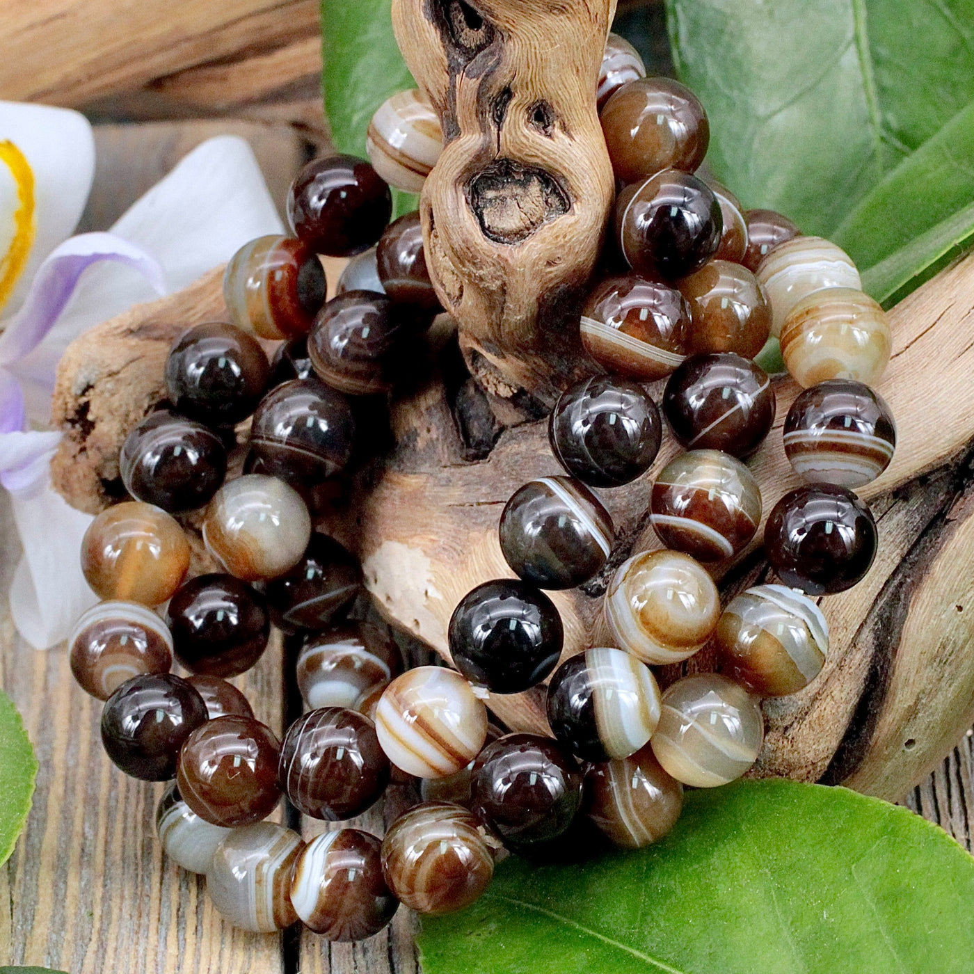 Brown Agate Bracelet 10mm