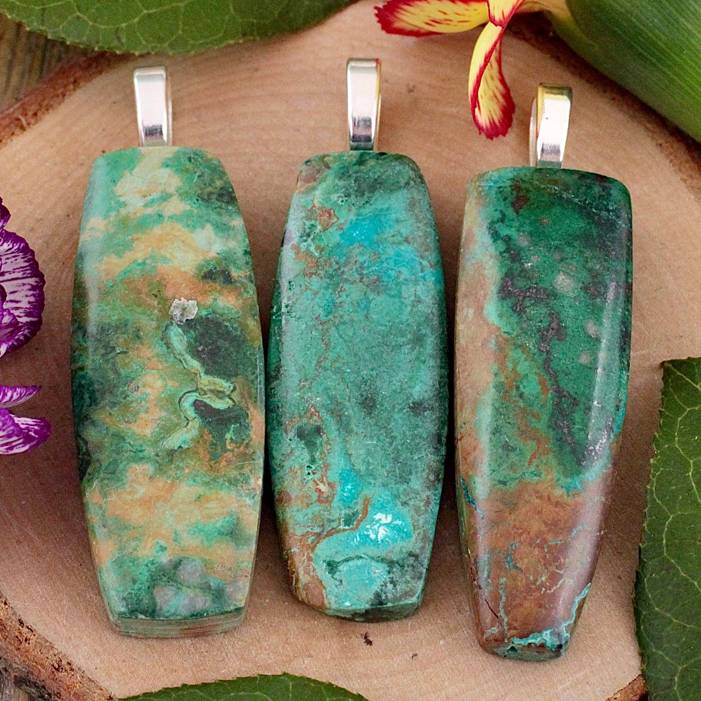 Parrot Wing Chrysocolla Pendant - Sterling Silver C