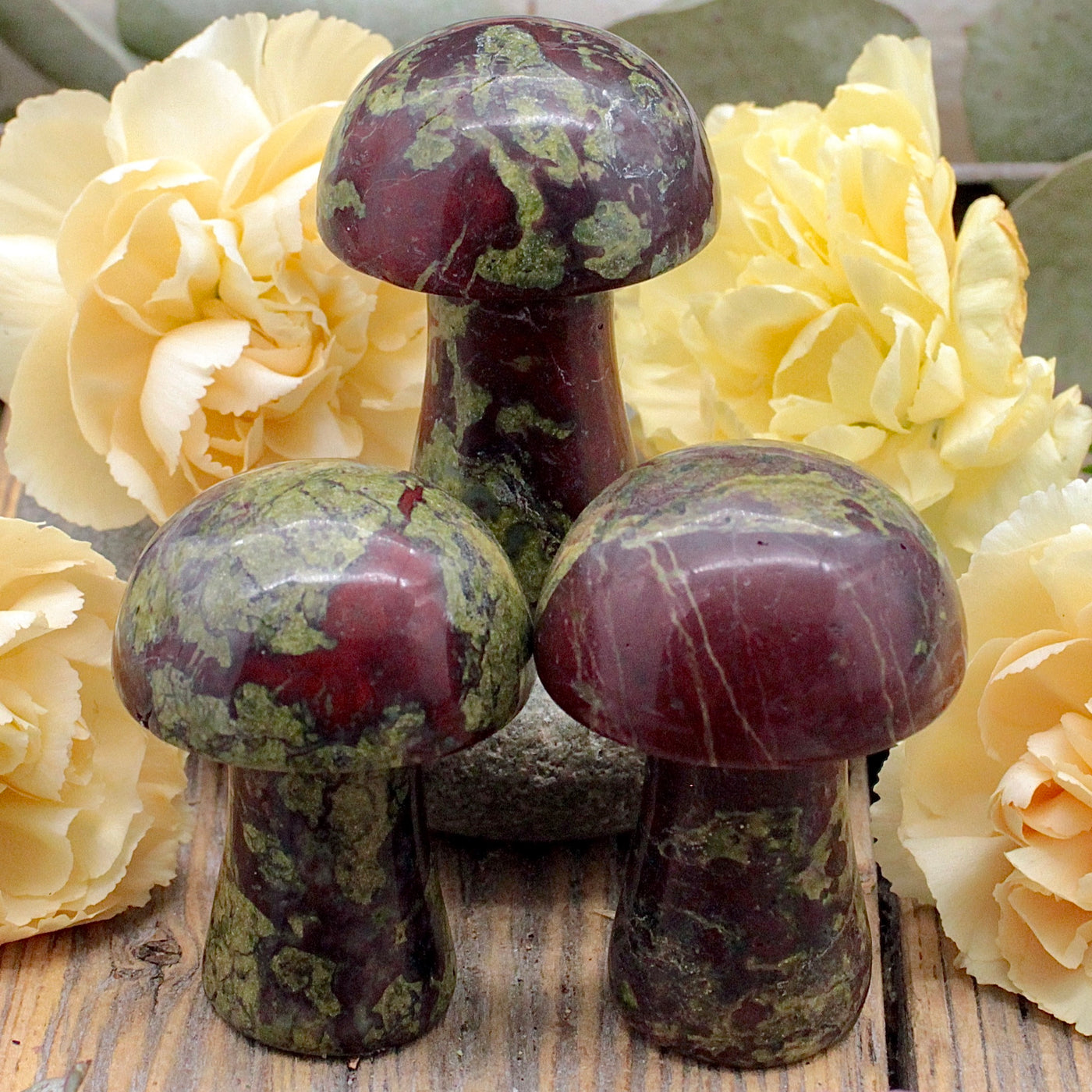 RC10006-Dragon_s-Blood-Jasper-Mushroom