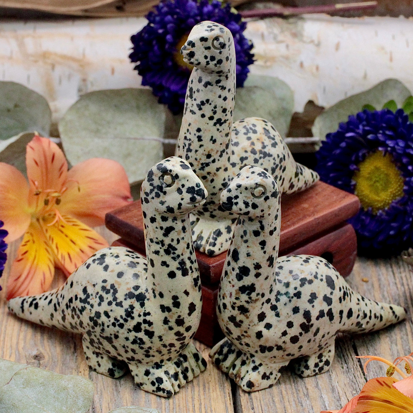 RC10071-Dalmatian-Jasper-Dinosaur