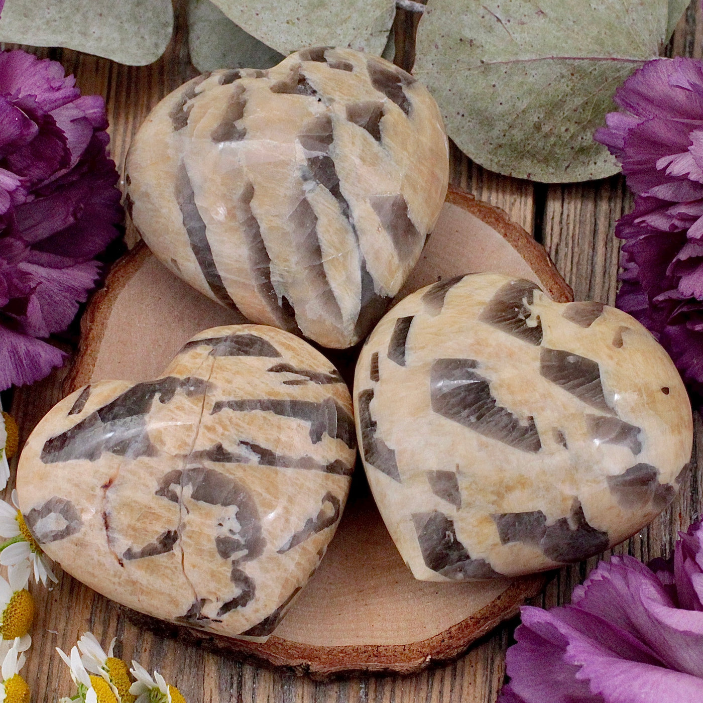 RC10094-Zebra-Moonstone-Heart