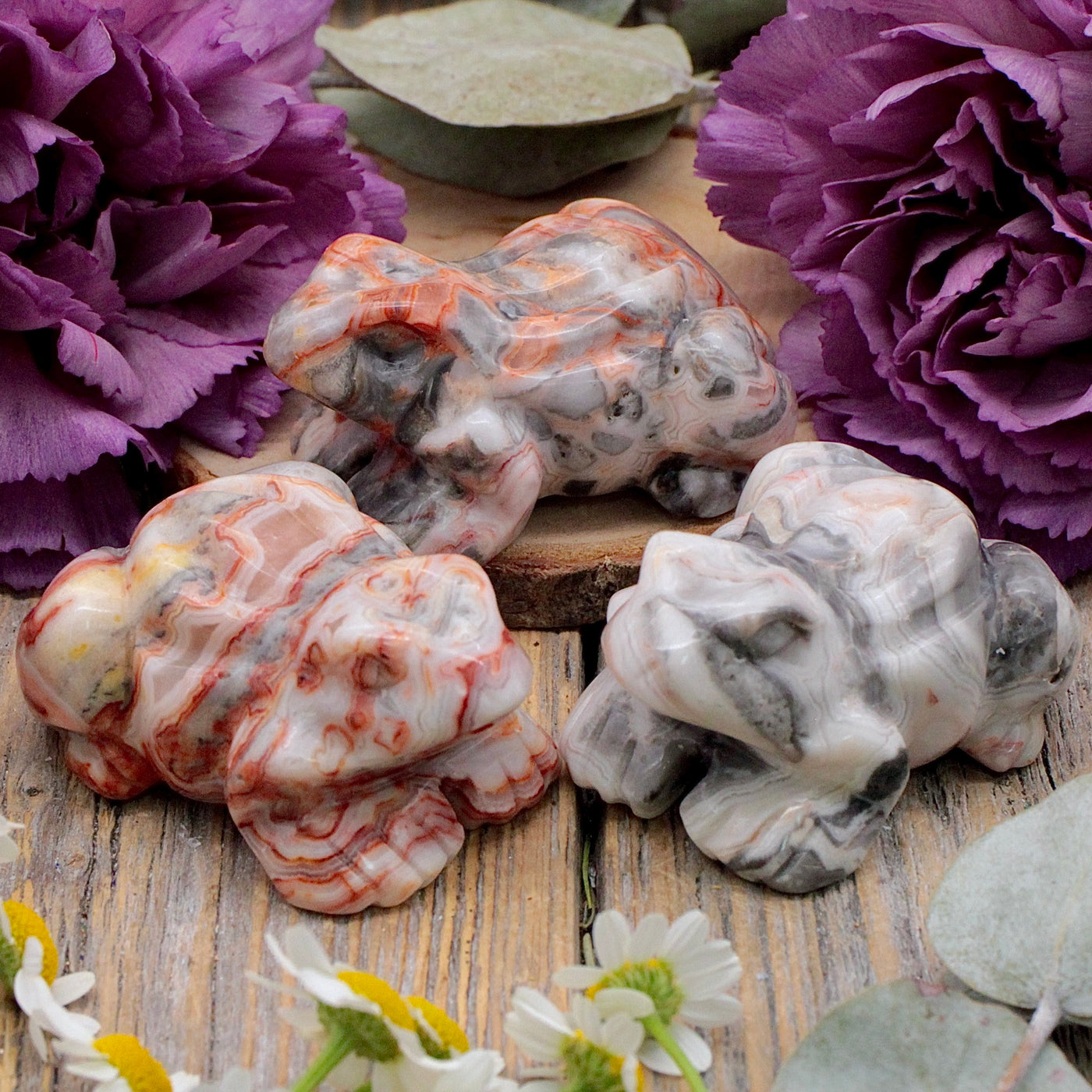 RC10095-Mexican-Crazy-Lace-Agate-Frog
