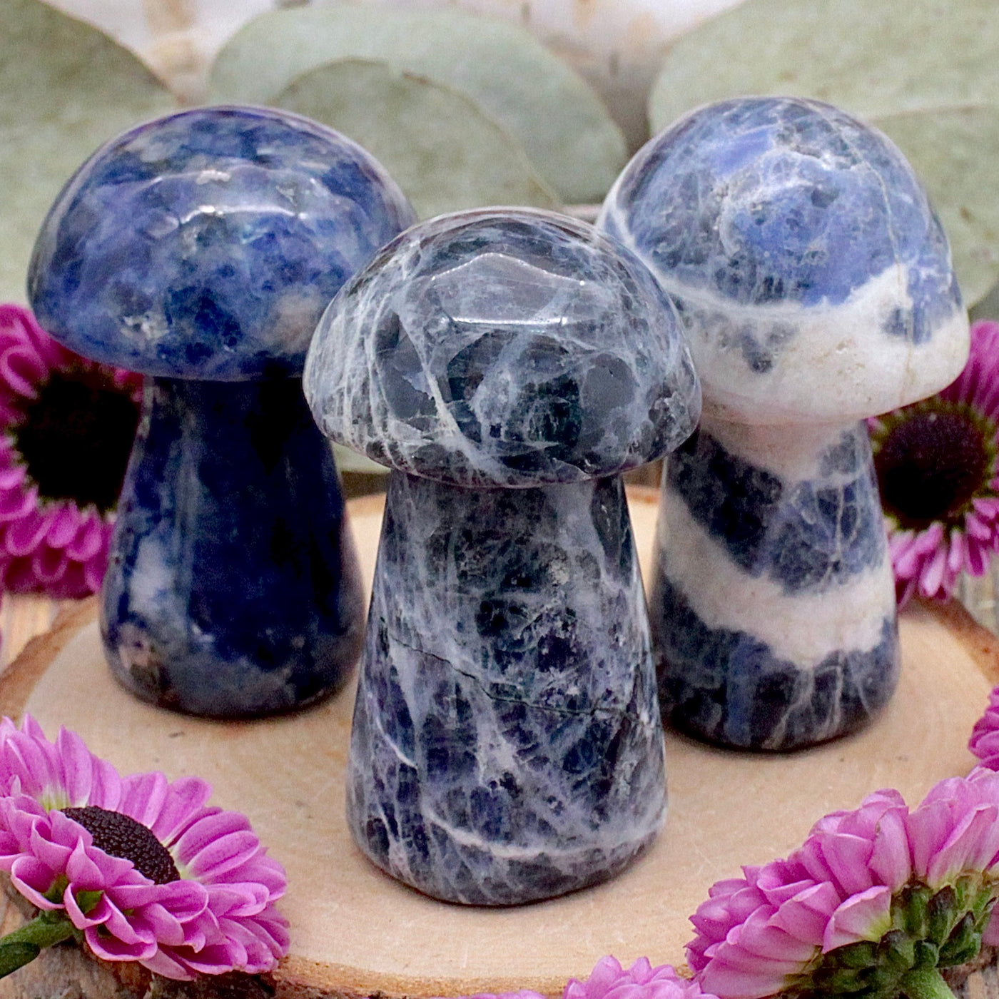 RC10199-Sodalite-Mushroom