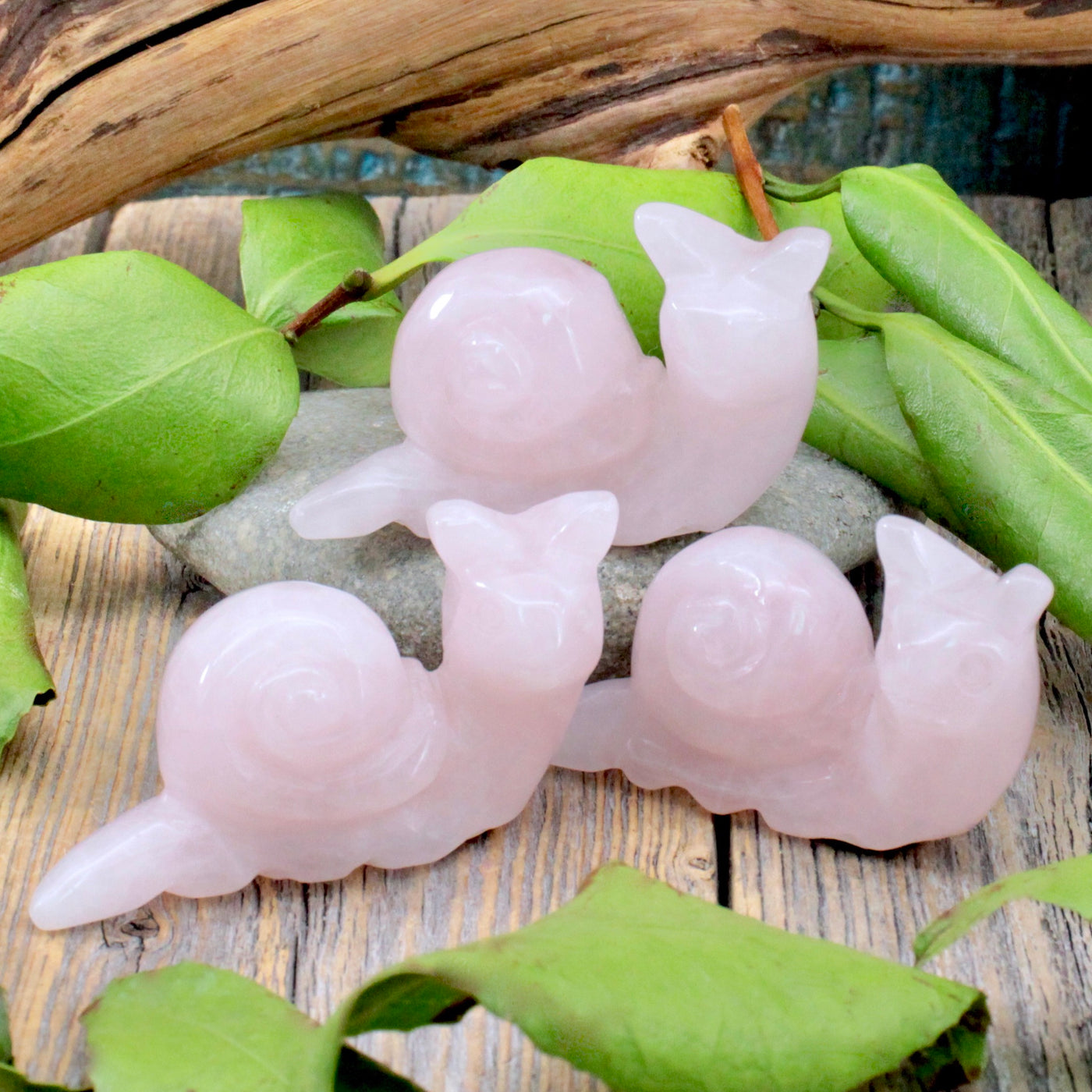 Rose Quartz Snail