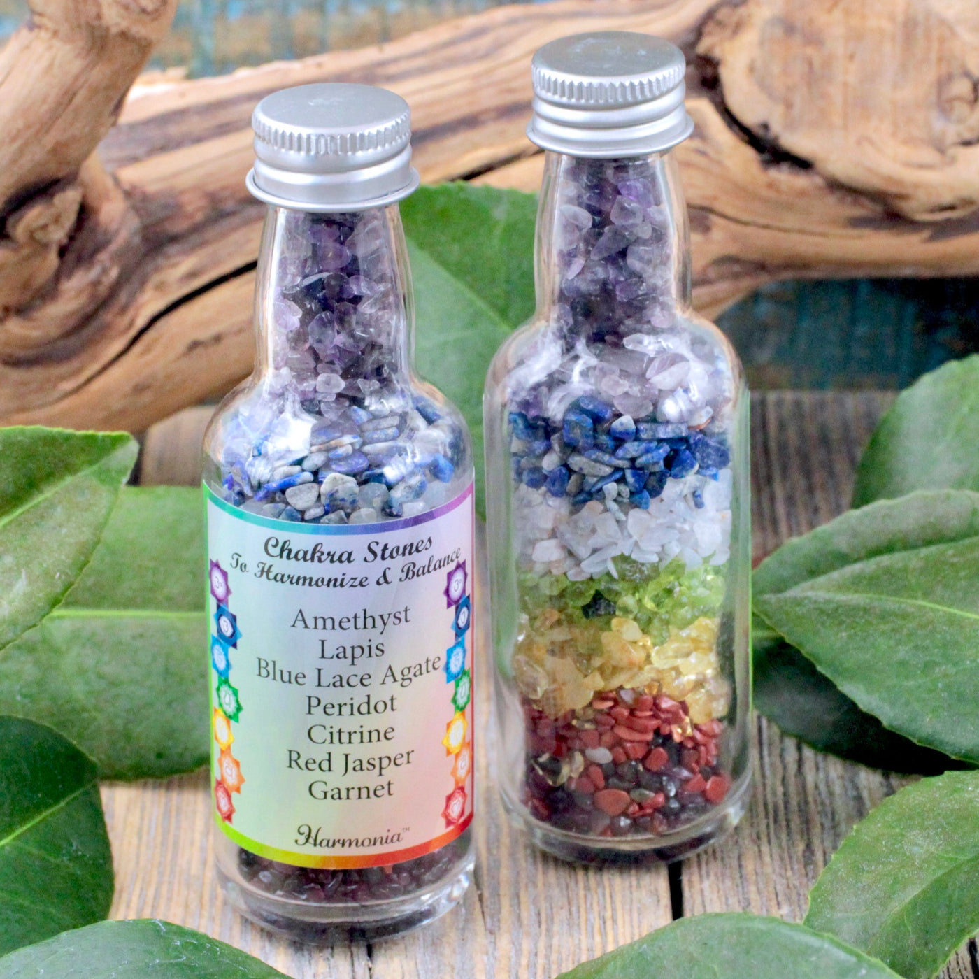 RC6884-Chakra-Chip-Bottle-1
