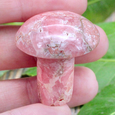Rhodochrosite mushroom Carving hand