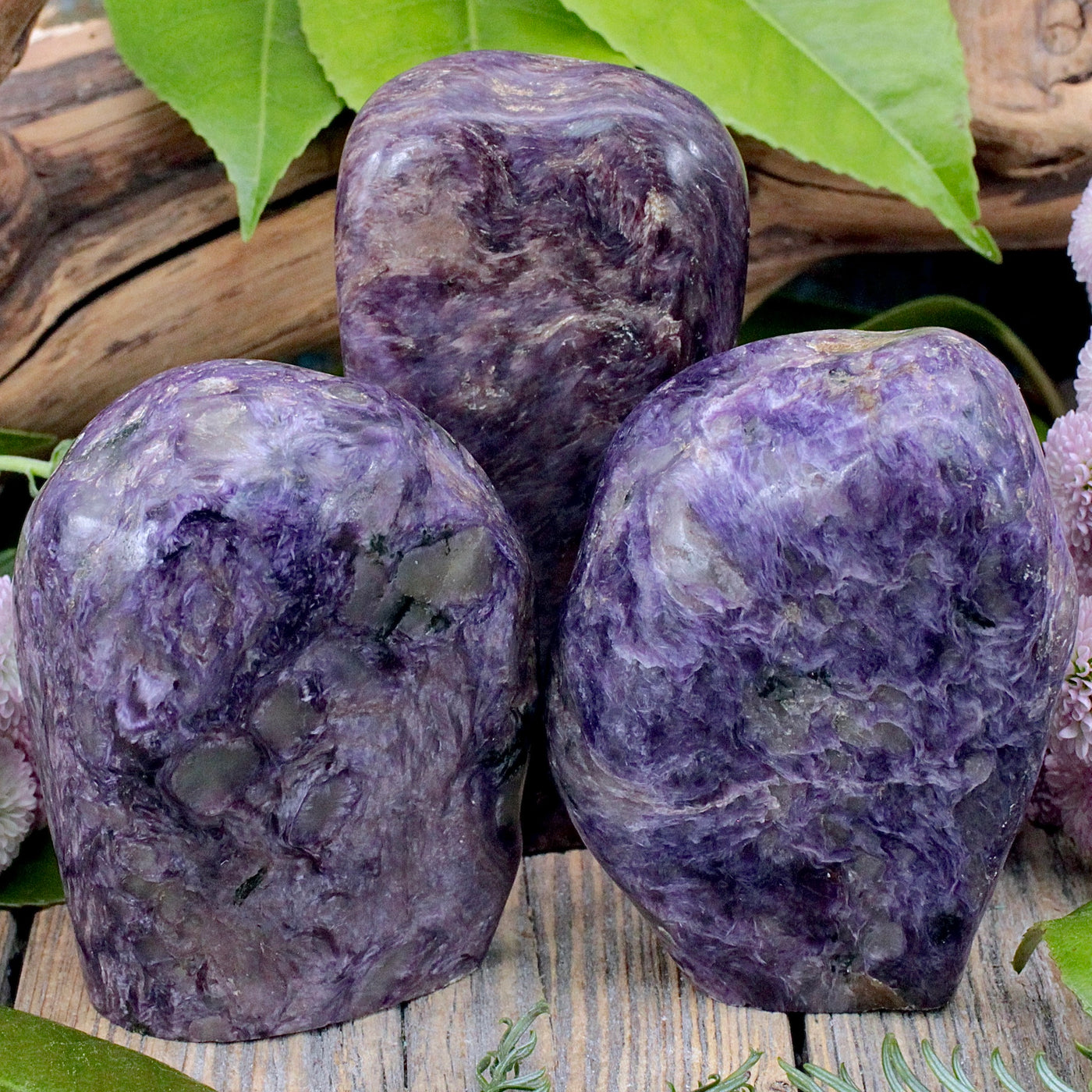 Charoite Freeform A