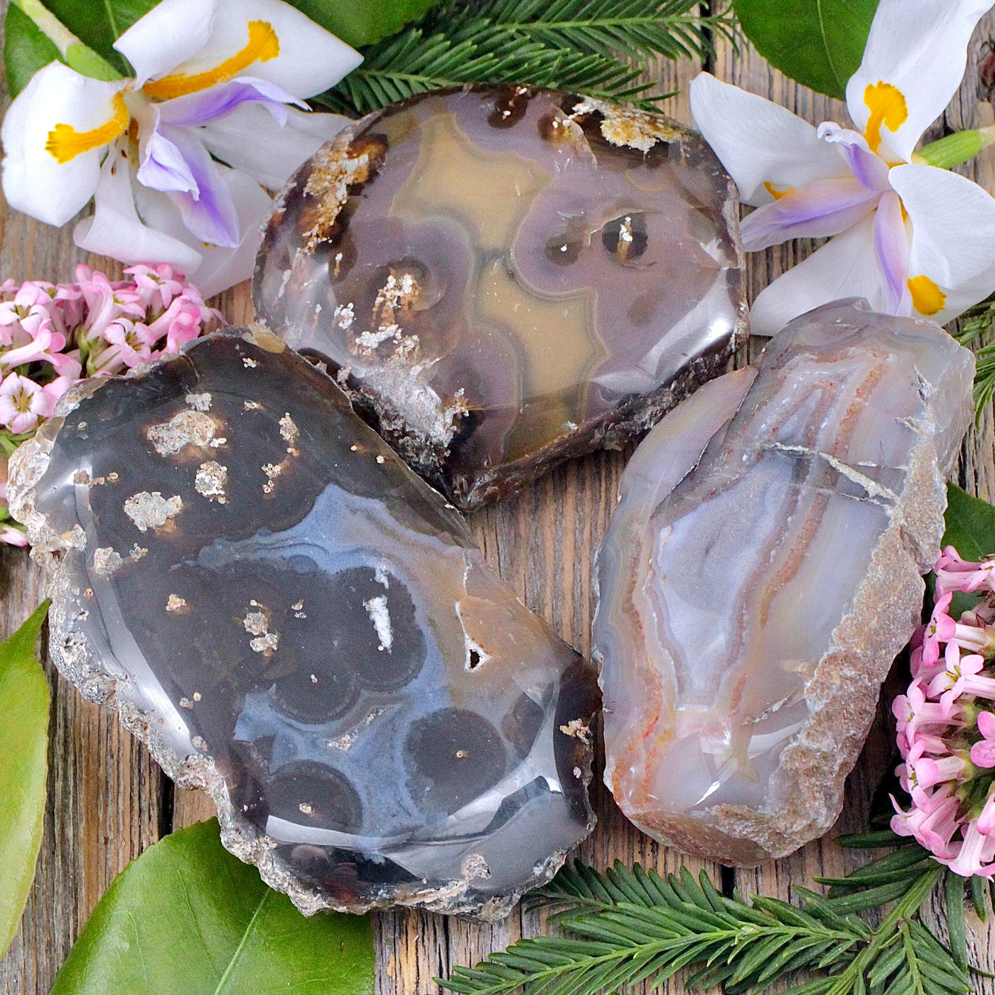 Timur Agate Half Polish Stone