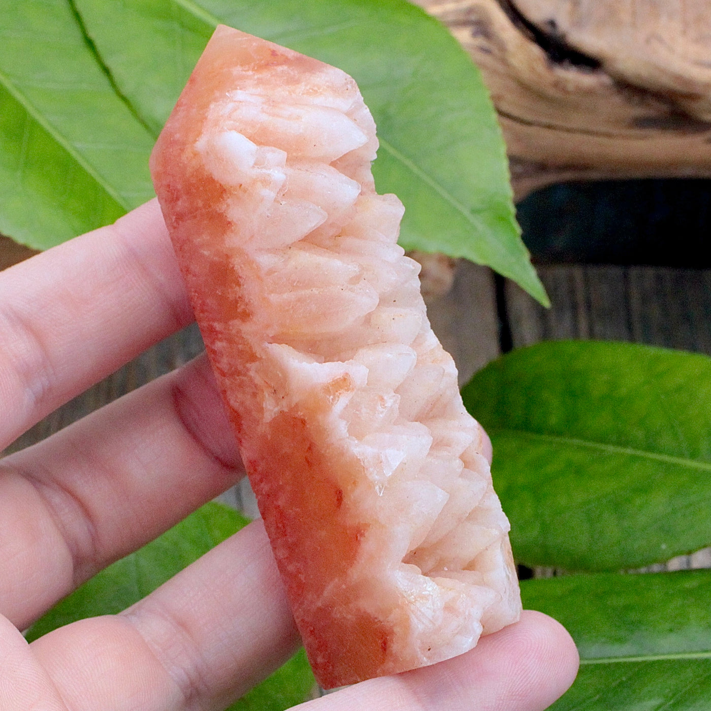 Dogtooth Aragonite Tower