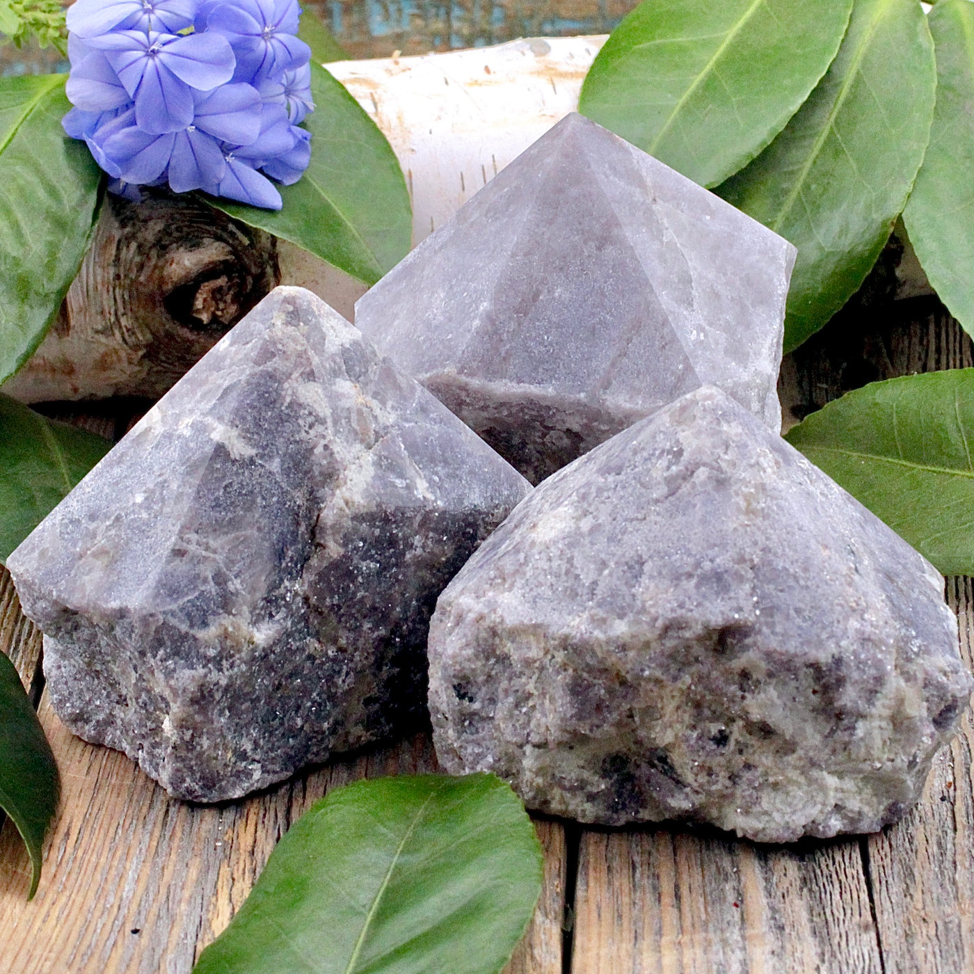 Lepidolite Power Point