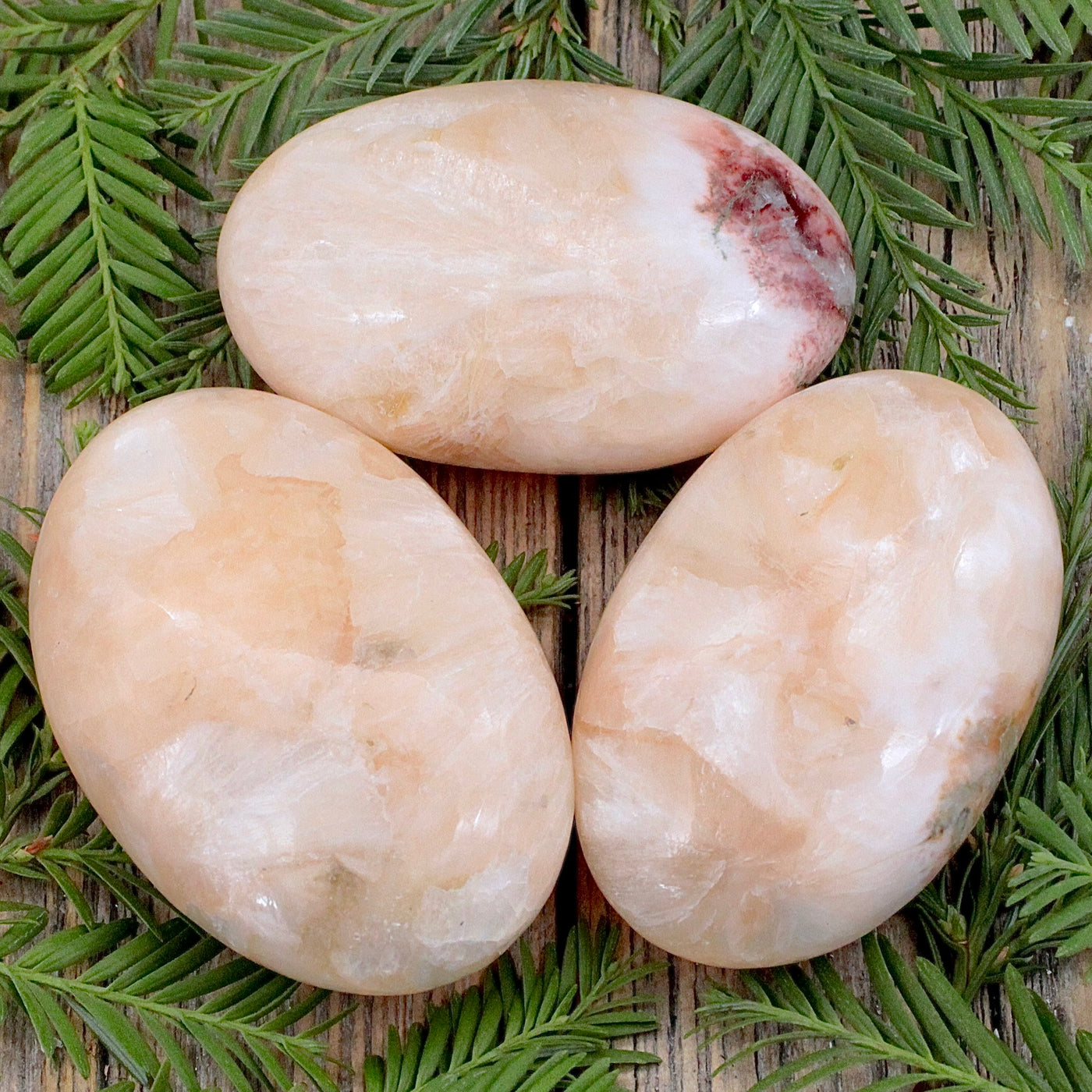 Stillbite Palm Stone