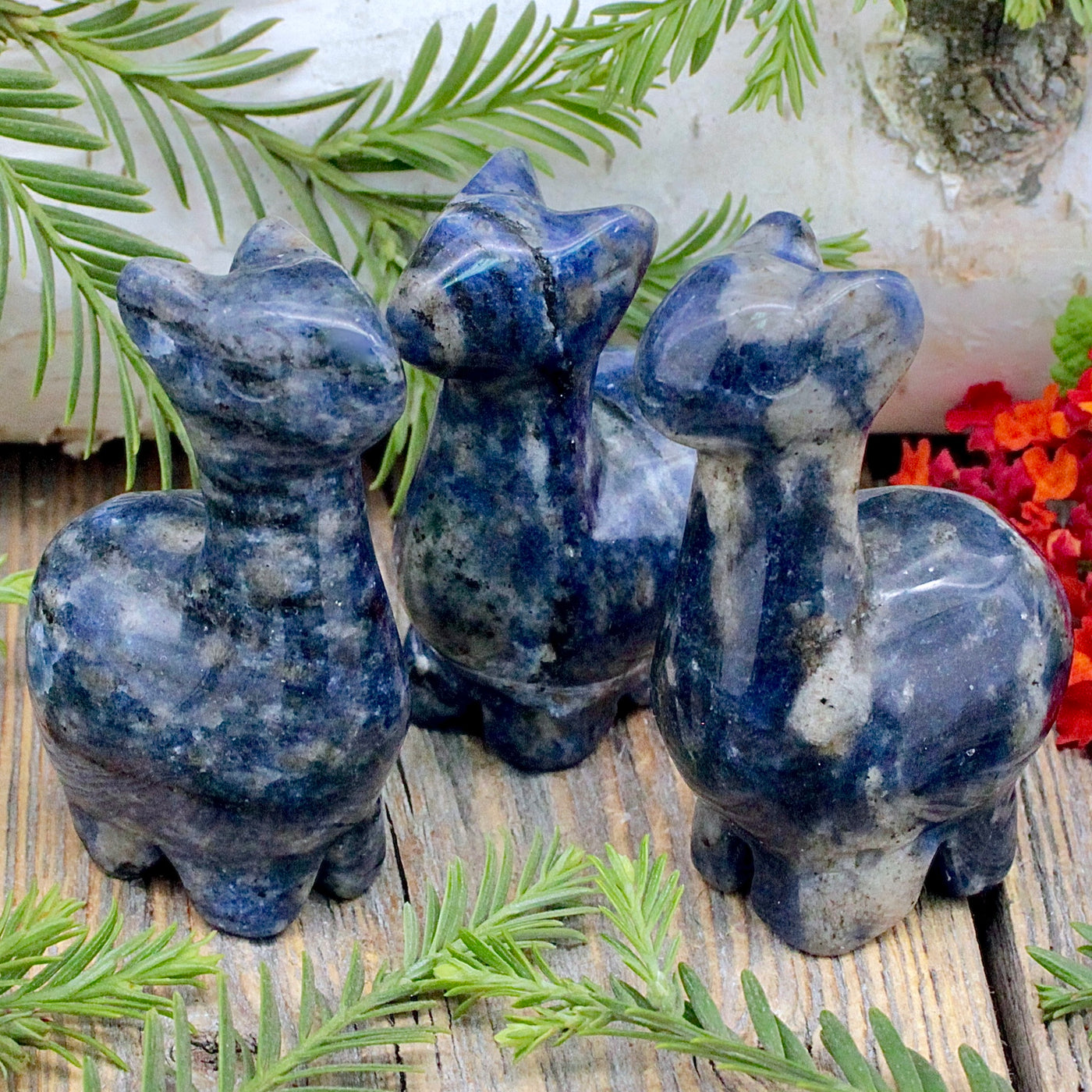 Sodalite Llamas