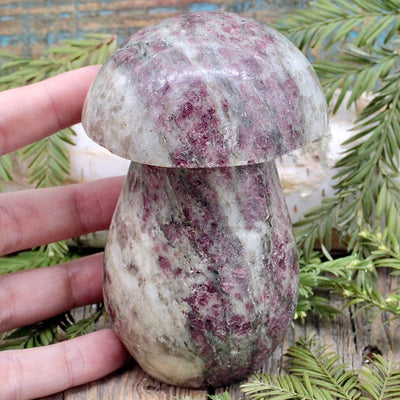 Rubellite Mushroom 2
