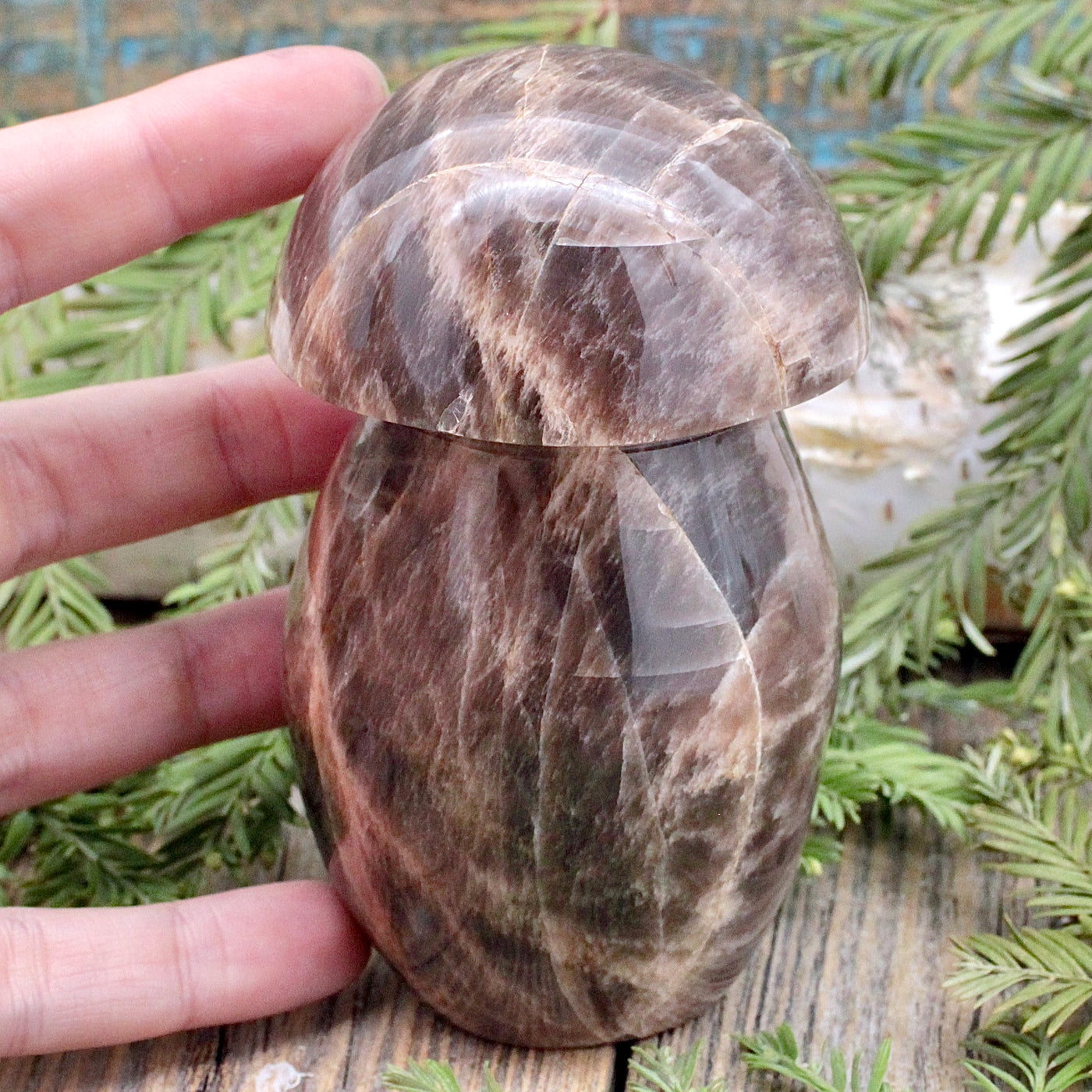 Black Moonstone Mushroom hand