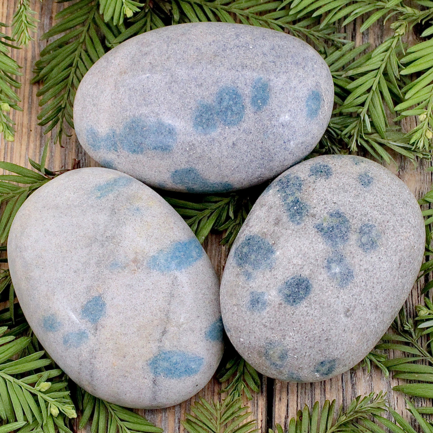 Azurite In Quartz Palm Stone