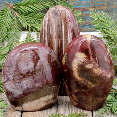 Petrified Wood Freeform A