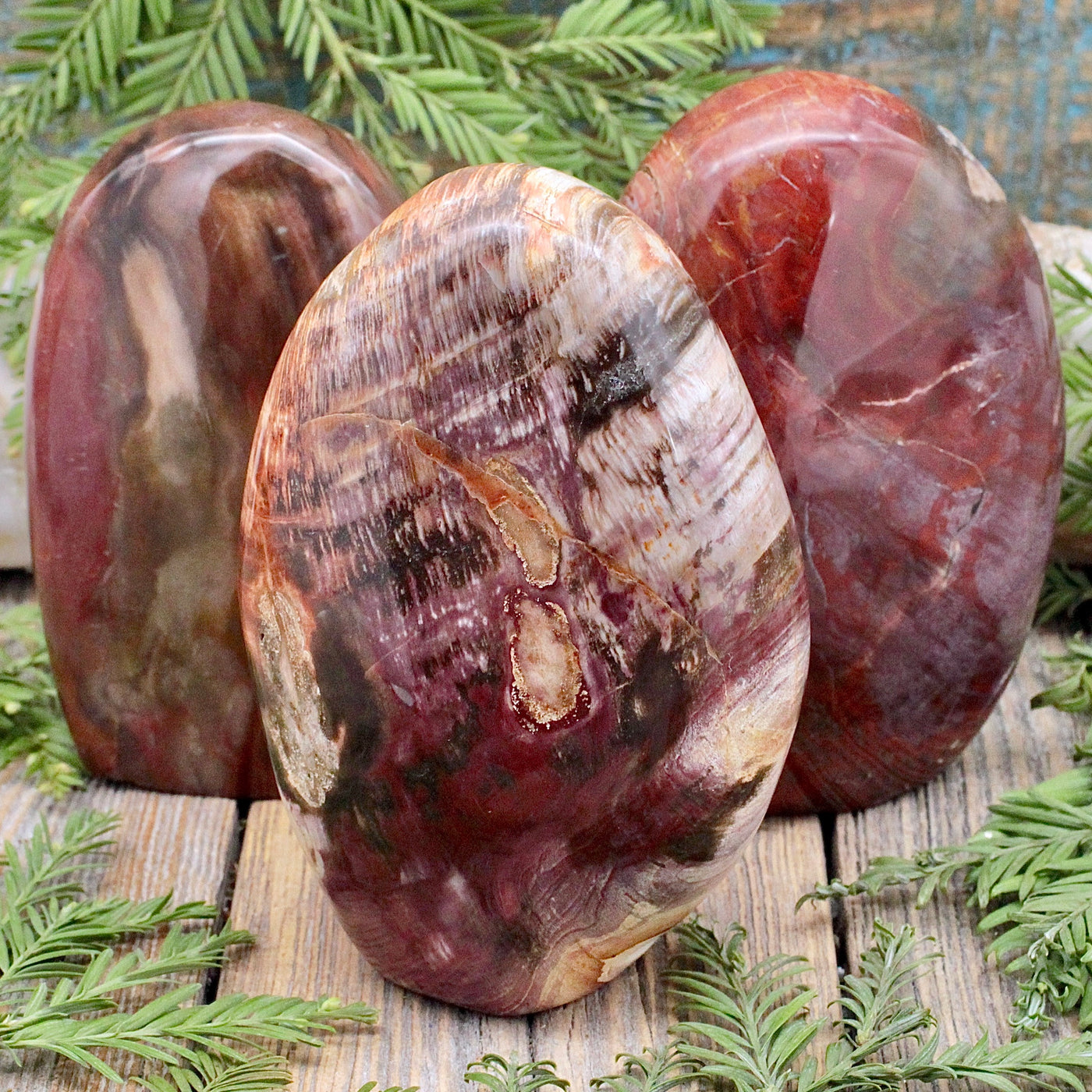 Petrified Wood Freeform B