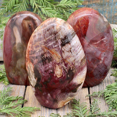 Petrified Wood Freeform B
