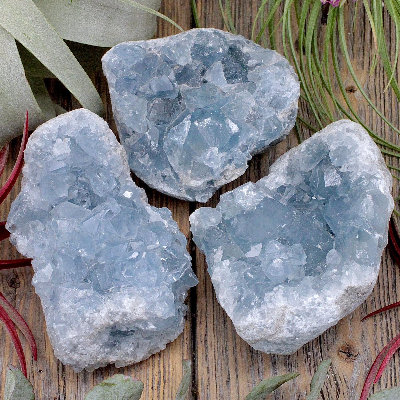 Celestite Cluster A