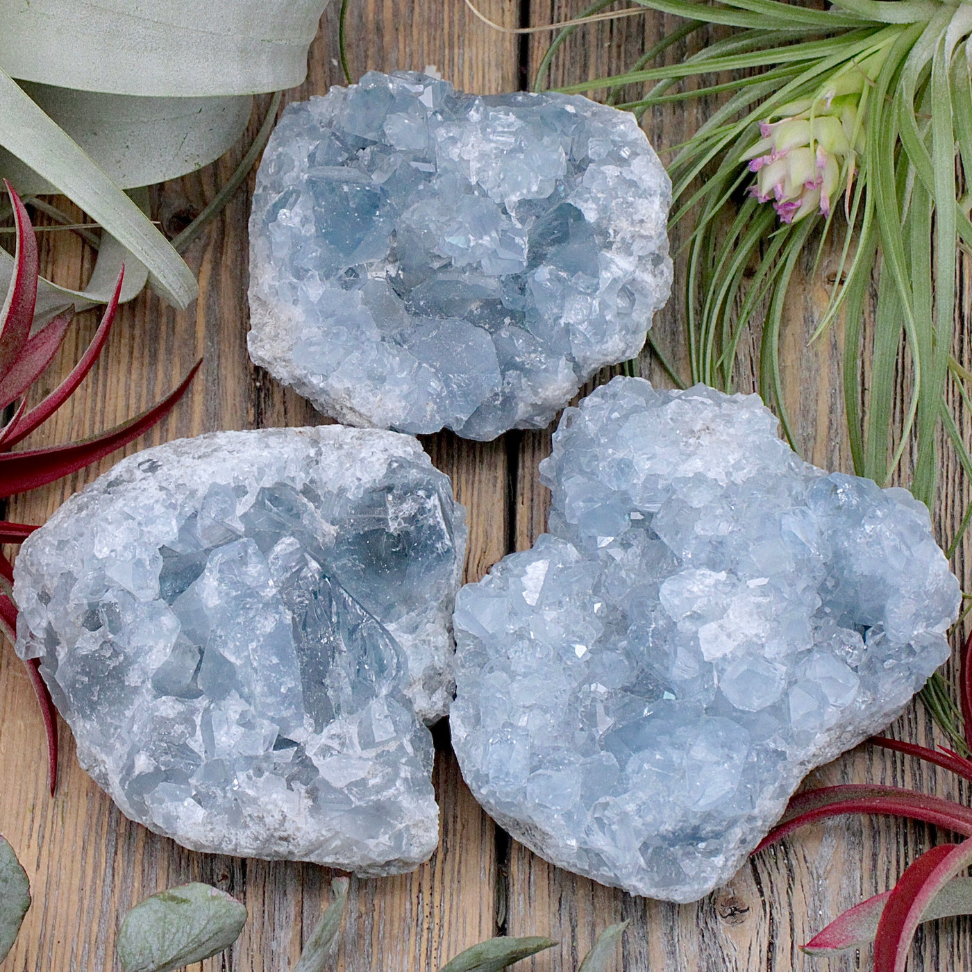 Celestite Cluster B