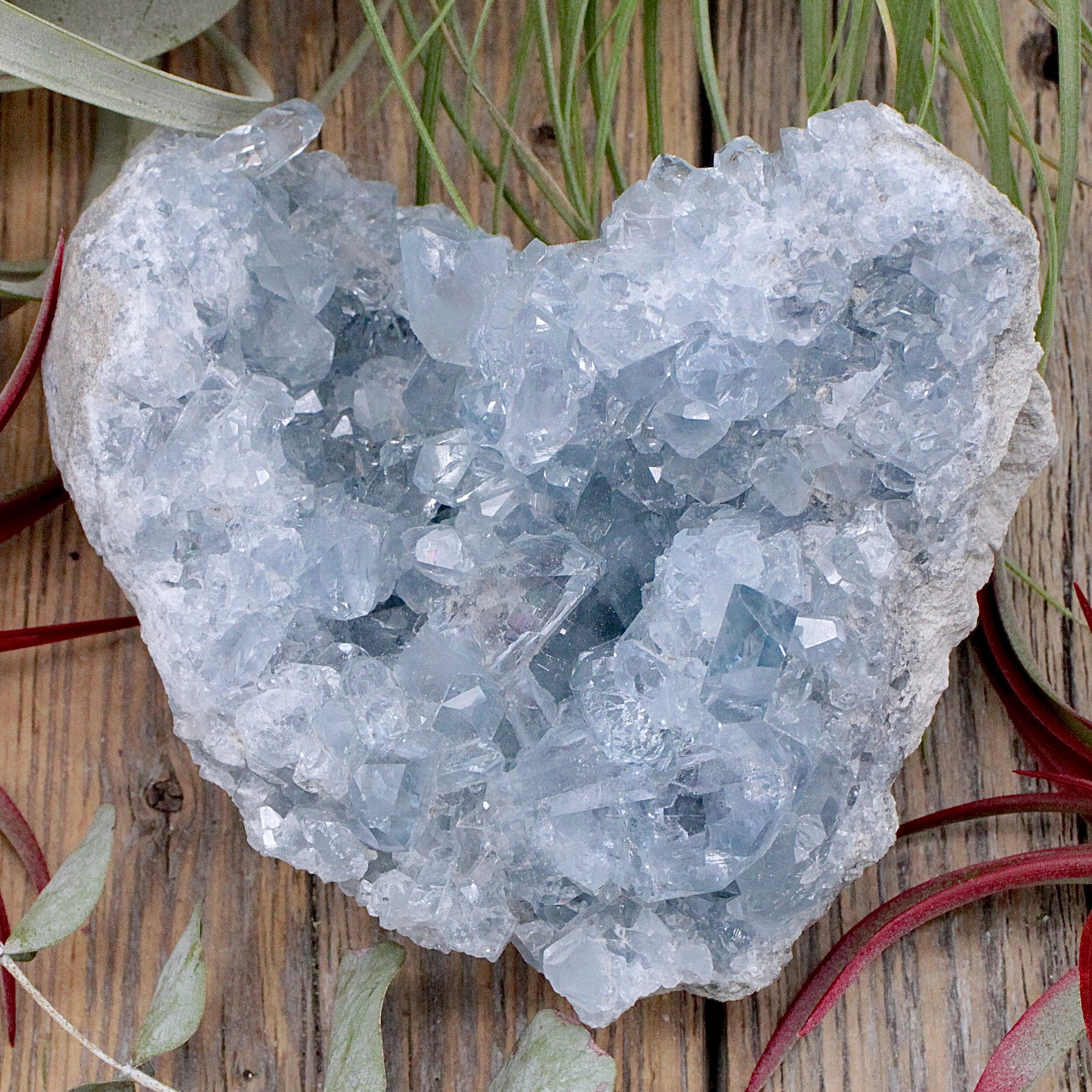Celestite Cluster D