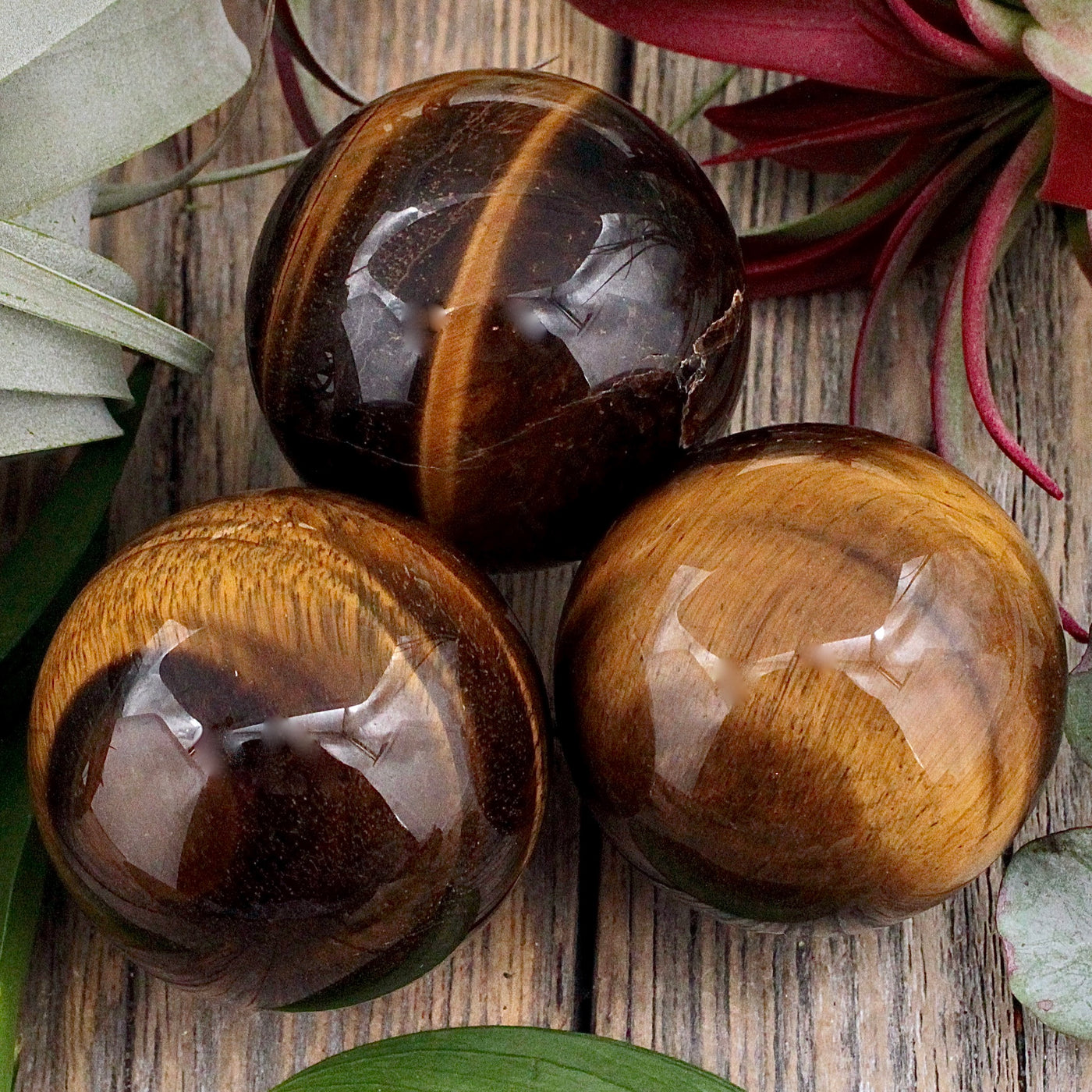 Tiger's Eye Sphere A