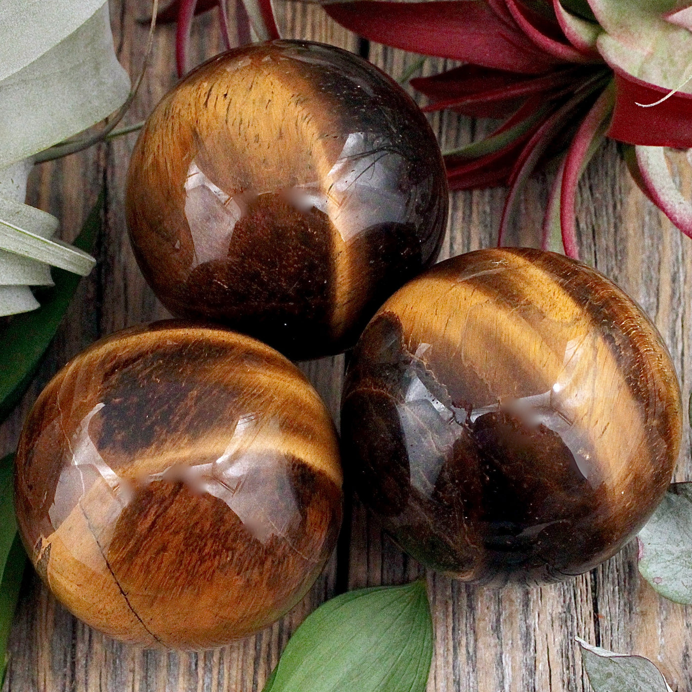 Tiger's Eye Sphere B