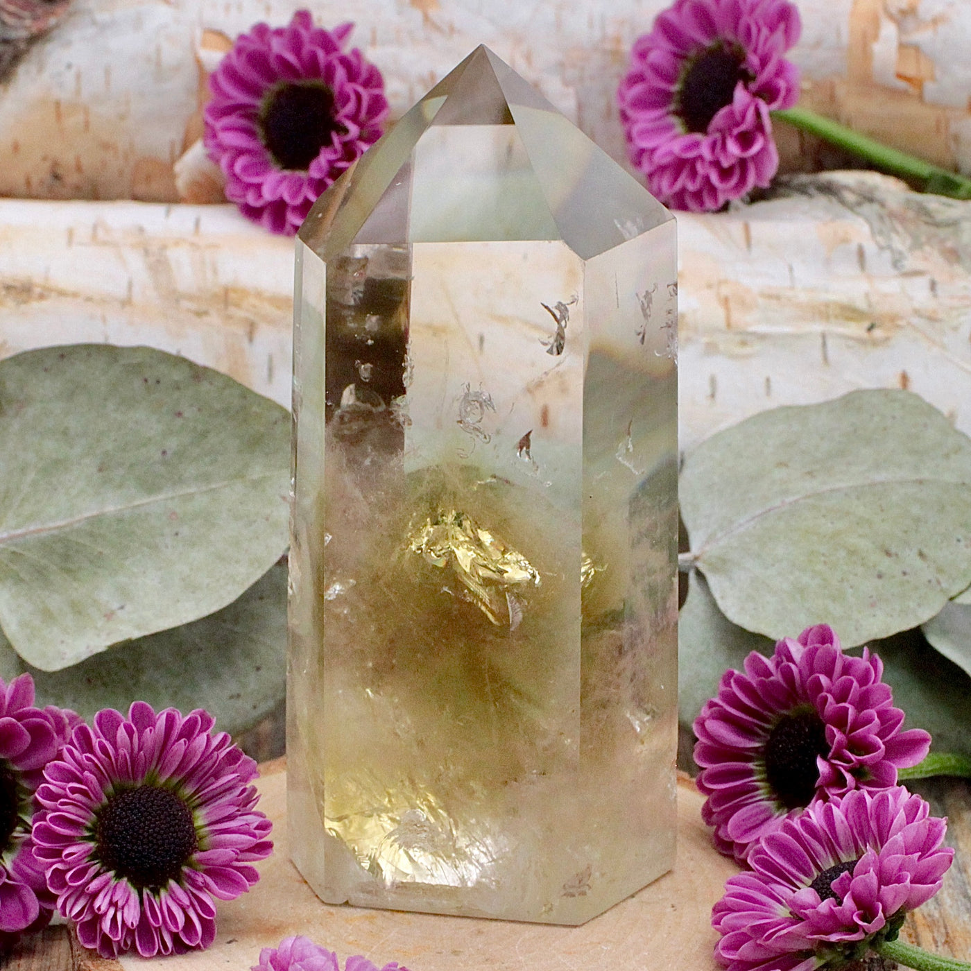 RC9169-Citrine-Tower-F