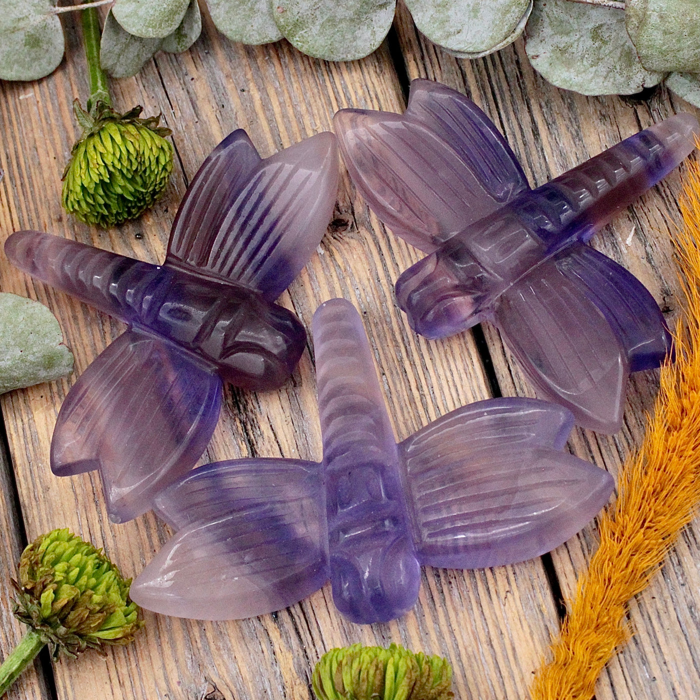 Fluorite Dragonfly Carving