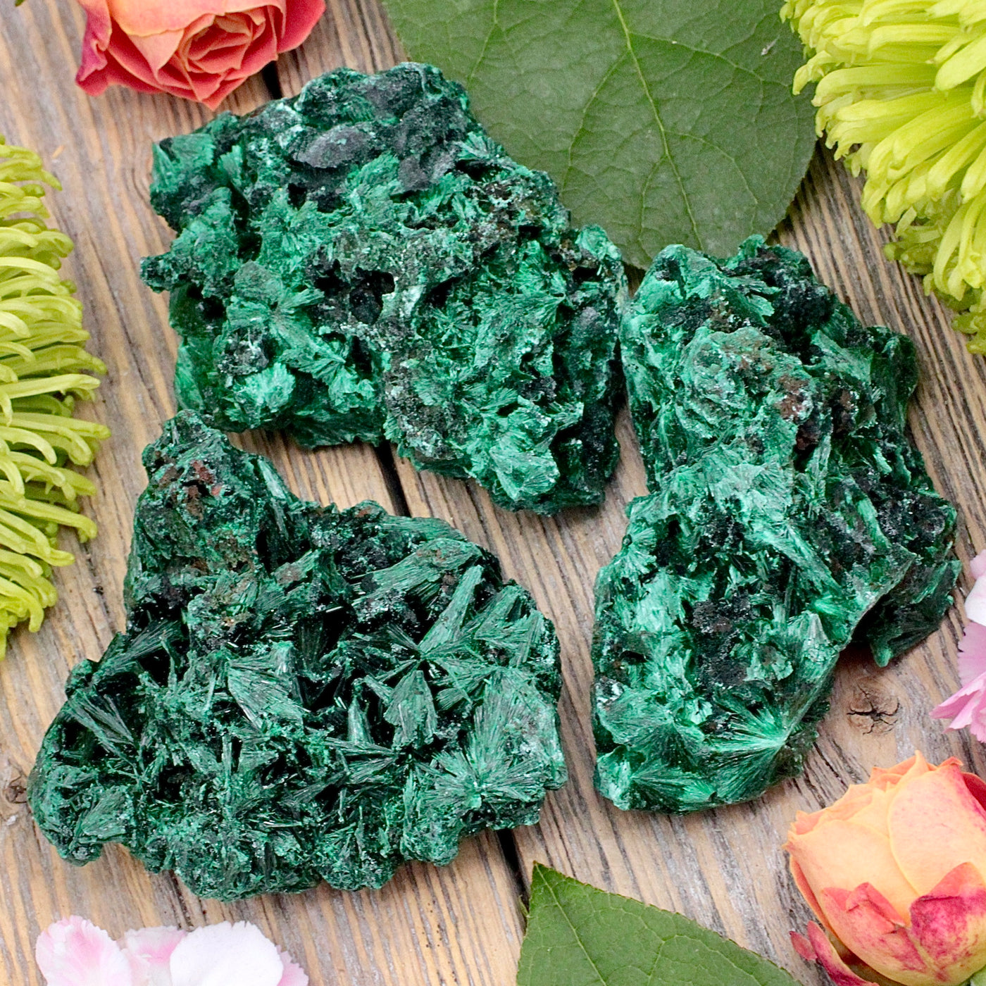 Velvet Malachite Rough Chunk C