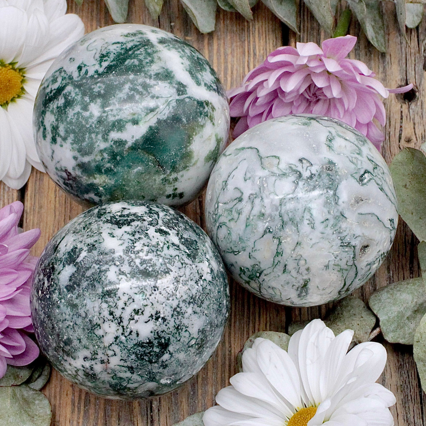 Tree Agate Sphere