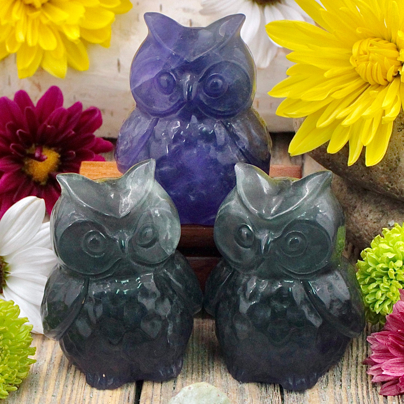 Fluorite Owl