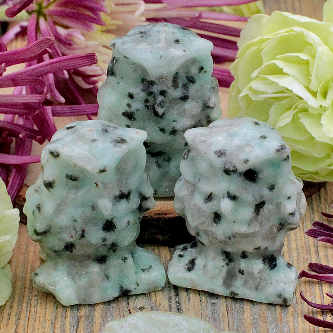 RC9849-Kiwi-Jasper-Owl