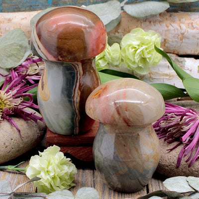 Polychrome Jasper Mushroom C