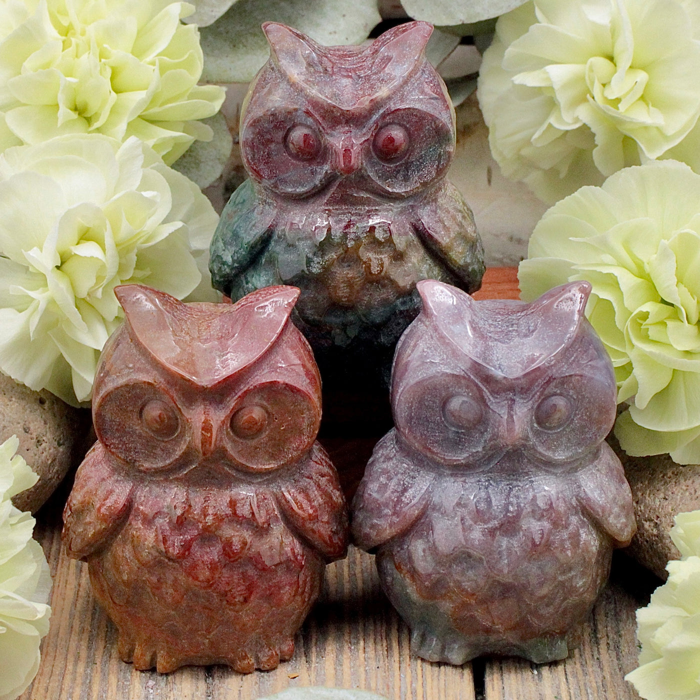 RC9874-Fancy-Jasper-Owl