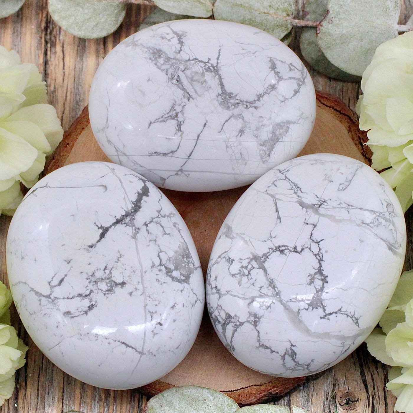 Howlite Palm Stone