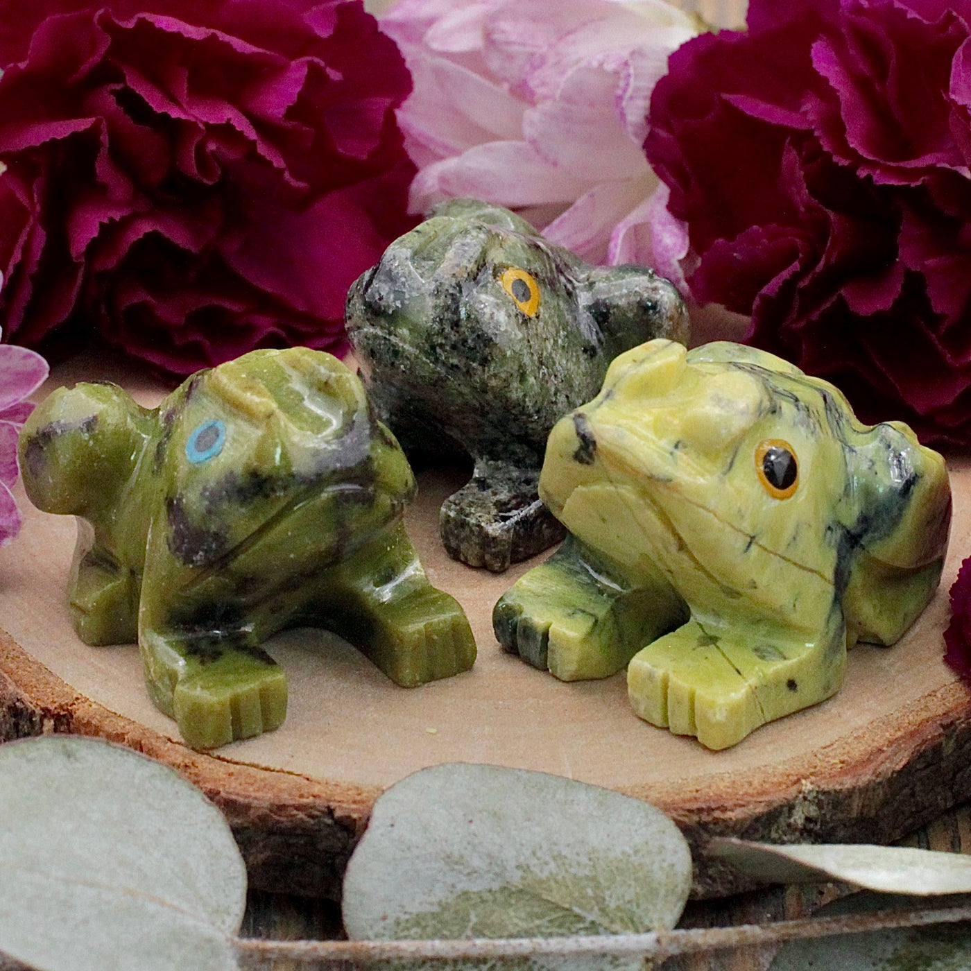 RC9917-Serpentine-Toad