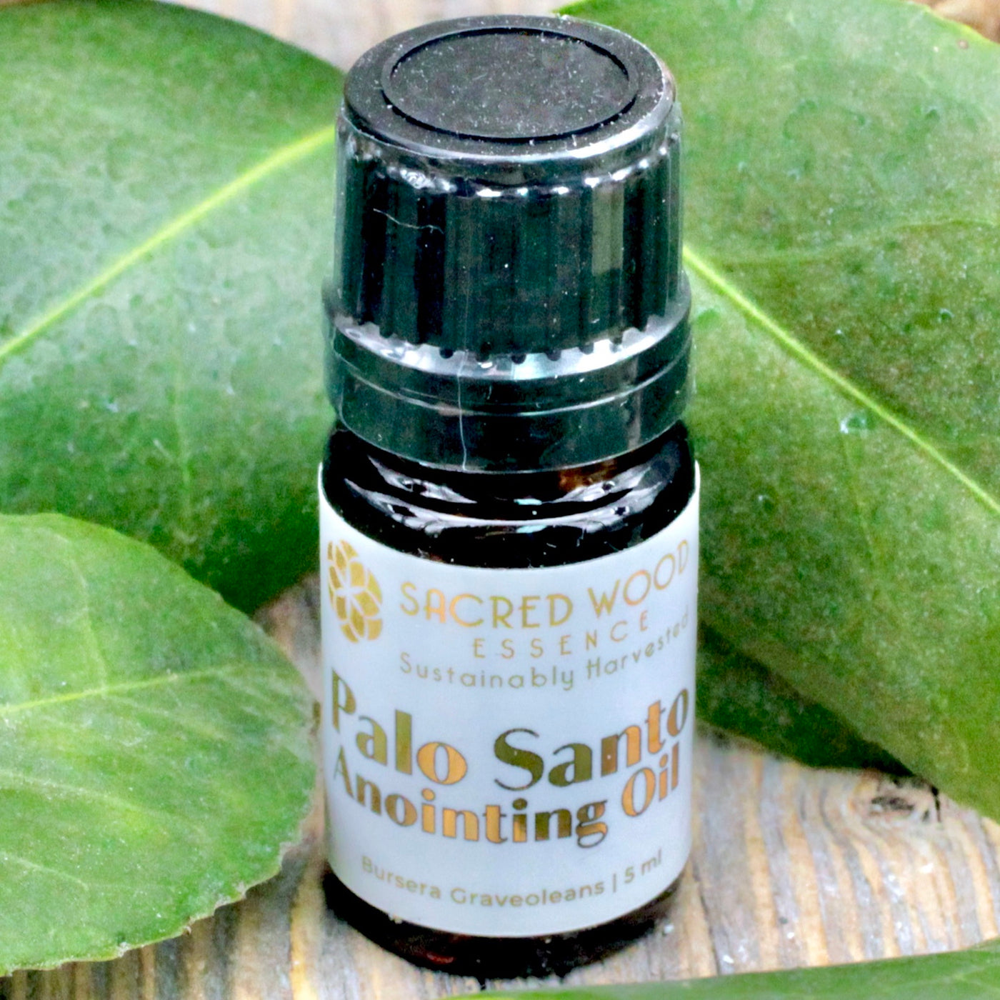 Palo Santo Anointing Oil