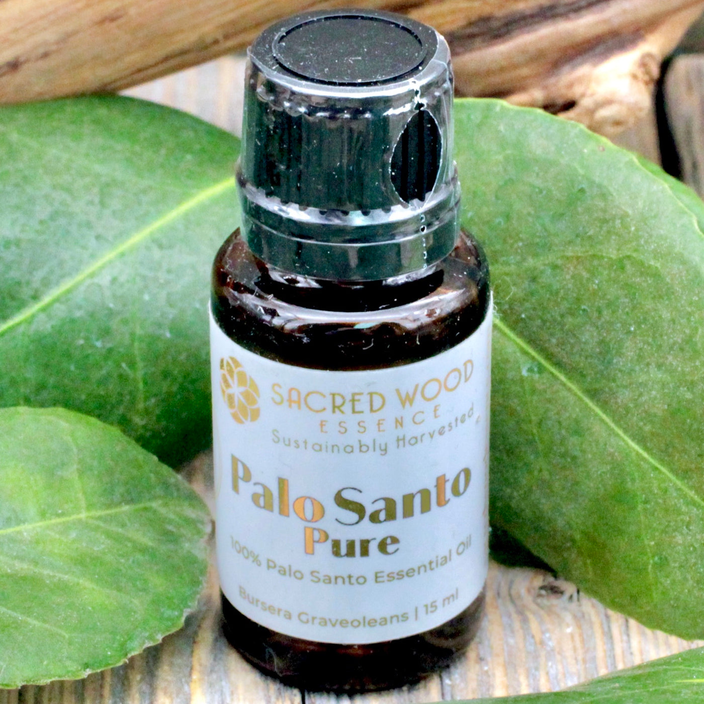 Palo Santo Anointing Oil
