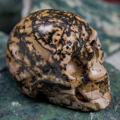 Leopard Skin Jasper Mini Skull