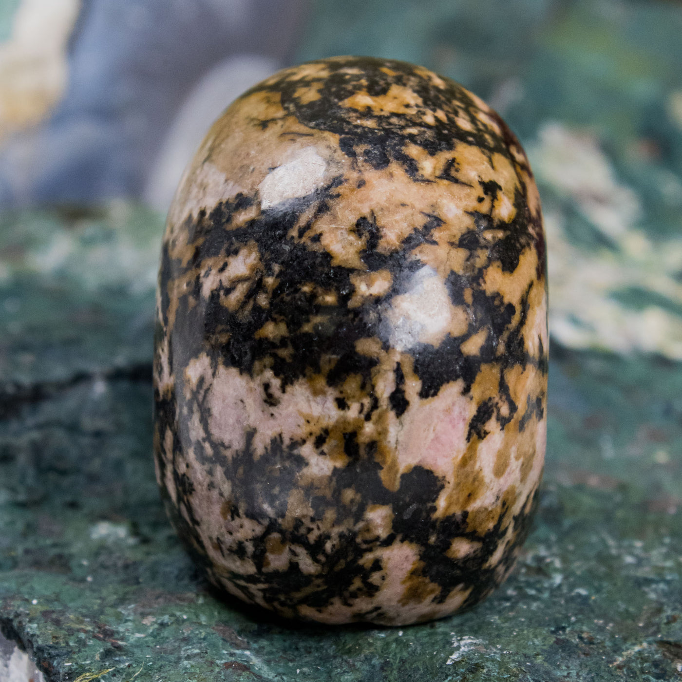 Leopard Skin Jasper Mini Skull