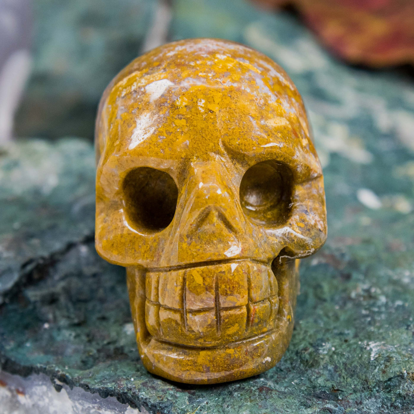Ocean Jasper Mini Skull
