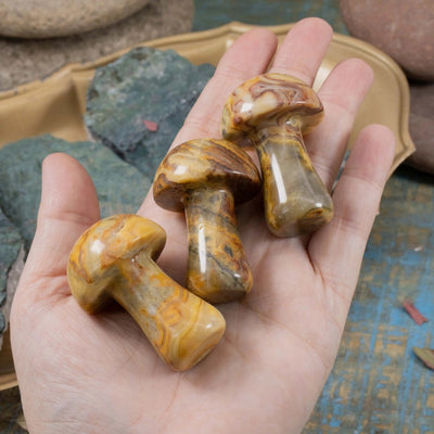 Crazy Lace Agate Mushroom in hand