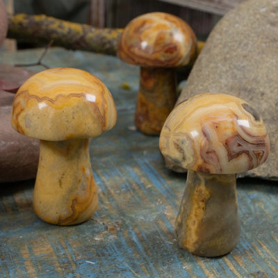 Crazy Lace Agate Mushroom