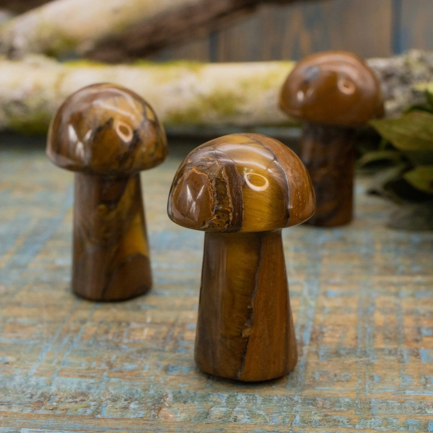 Tiger Iron Mushroom