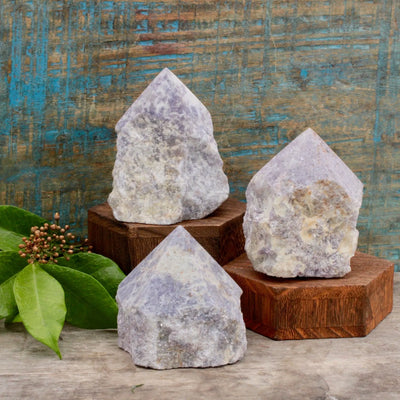 Copy of Lepidolite Top-Polished Point