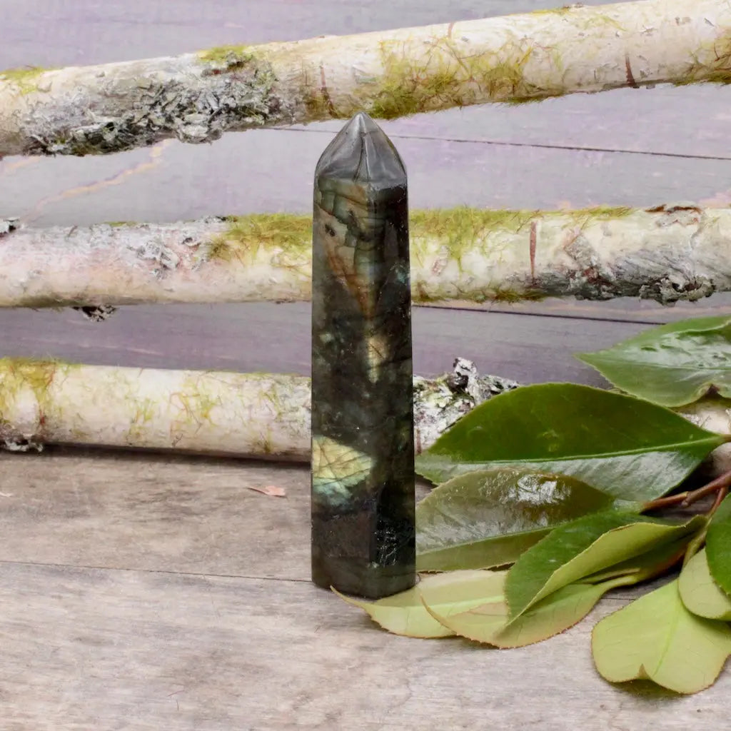 Copy of Labradorite Polished Freeform Offering #1