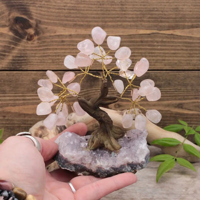 Rose Quartz Crystal Tree, Large
